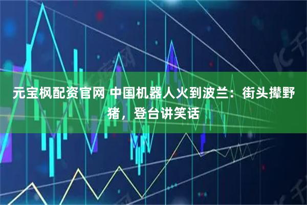 元宝枫配资官网 中国机器人火到波兰：街头撵野猪，登台讲笑话