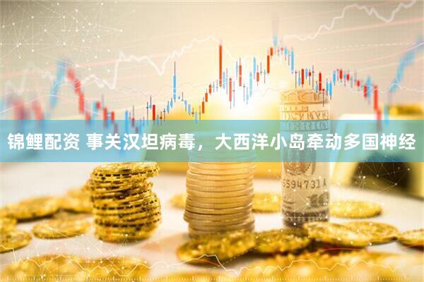锦鲤配资 事关汉坦病毒，大西洋小岛牵动多国神经